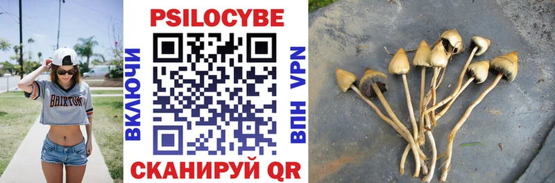 Псилоцибиновые грибы мухоморы  Юрьев-Польский 