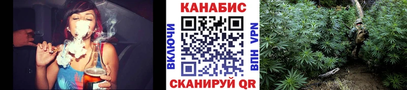 Бошки марихуана Bruce Banner  Юрьев-Польский 